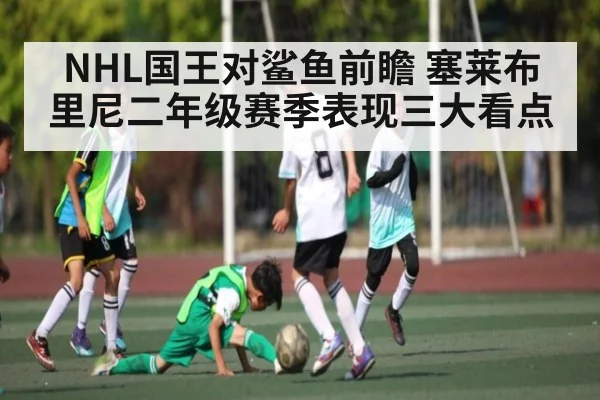 NHL国王对鲨鱼前瞻 塞莱布里尼二年级赛季表现三大看点